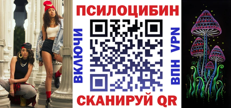 omg ссылка  Богучар  Псилоцибиновые грибы MAGIC MUSHROOMS 