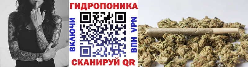 blacksprut ONION Богучар Конопля VHQ